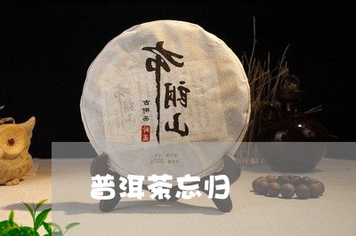 普洱茶忘归/2023090600503