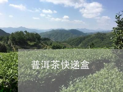 普洱茶快递盒/2023081596581