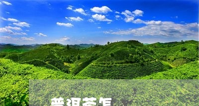 普洱茶怎/2023121893815