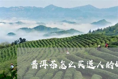 普洱茶怎么买送人的好一点/2023112596371