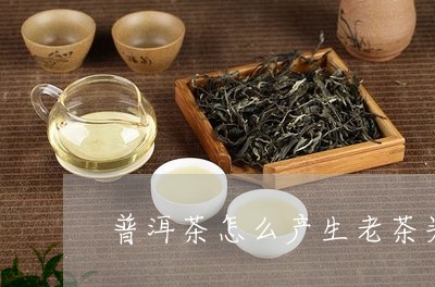 普洱茶怎么产生老茶头/2023062929494