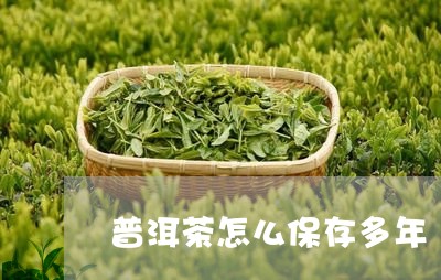 普洱茶怎么保存多年/2023120562036