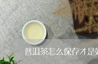 普洱茶怎么保存才是好/2023080228469