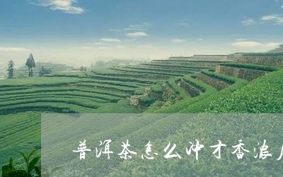 普洱茶怎么冲才香浓厚好喝/2023082703848