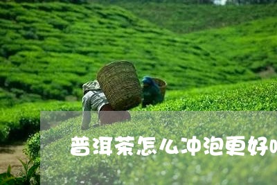 普洱茶怎么冲泡更好喝/2023100618469