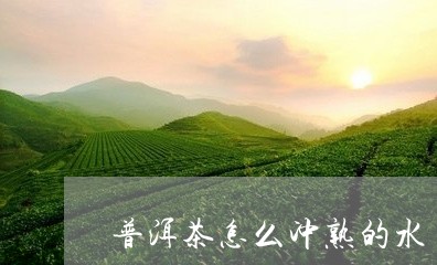 普洱茶怎么冲熟的水/2023110658380