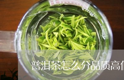 普洱茶怎么分品质高低/2023100660806