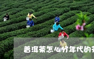 普洱茶怎么分年代的茶叶/2023083045148