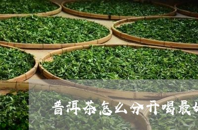 普洱茶怎么分开喝最好喝的/2023112582493