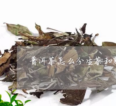 普洱茶怎么分生茶和熟茶呢/2023110659261