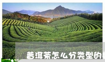 普洱茶怎么分类型的好坏/2023050640694