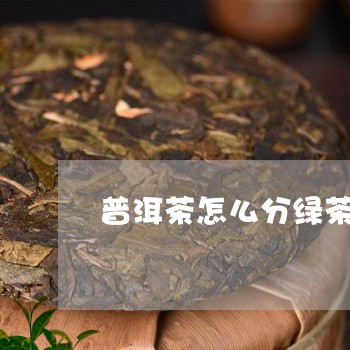 普洱茶怎么分绿茶红茶/2023080201614