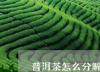 普洱茶怎么分解成丝丝状/2023121649470