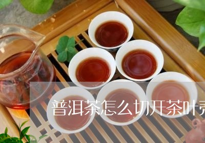 普洱茶怎么切开茶叶壳/2023110656169