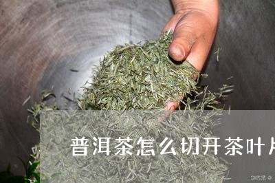 普洱茶怎么切开茶叶片/2023110636379