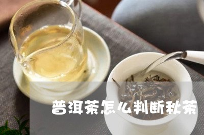 普洱茶怎么判断秋茶/2023091436137