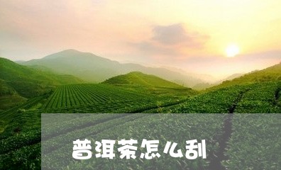 普洱茶怎么刮/2023042769127