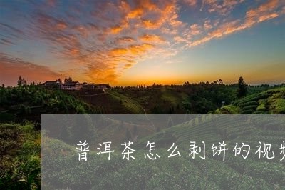 普洱茶怎么剥饼的视频教程/2023112908592