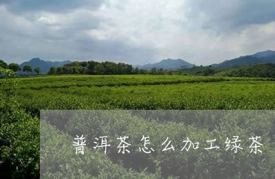 普洱茶怎么加工绿茶/2023070858302