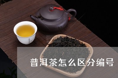 普洱茶怎么区分编号/2023070807324