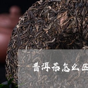 普洱茶怎么区别茶味/2023070972149