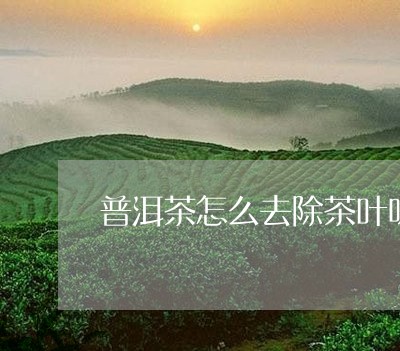 普洱茶怎么去除茶叶味/2023080190693