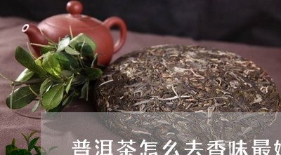 普洱茶怎么去香味最好/2023110648281