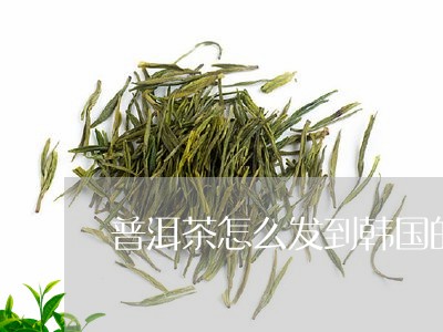 普洱茶怎么发到韩国的快递/2023110673615