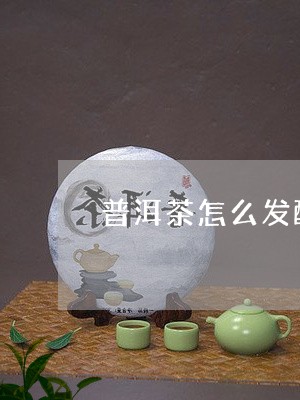 普洱茶怎么发酵才好喝/2023100563927