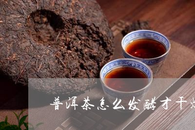 普洱茶怎么发酵才干燥/2023100679460