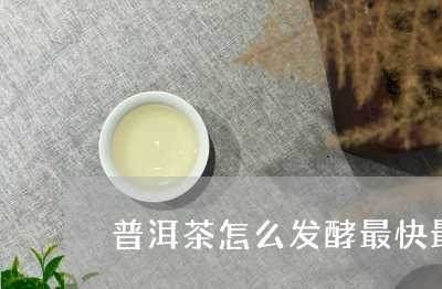 普洱茶怎么发酵最快最有效/2023110442724