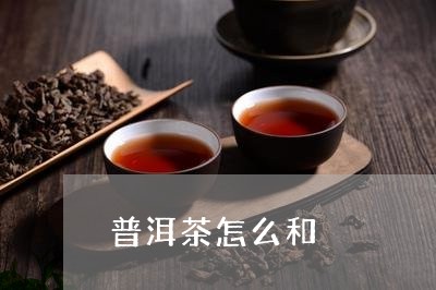 普洱茶怎么和/2023042651705