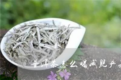 普洱茶怎么喝减肥产品/2023080216028