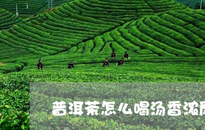 普洱茶怎么喝汤香浓厚好喝/2023083084838