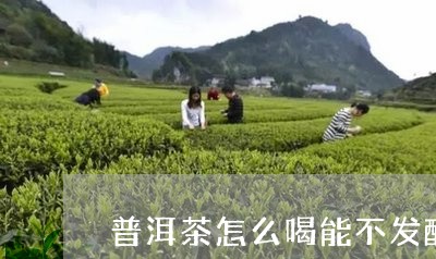 普洱茶怎么喝能不发酸呢/2023110635248