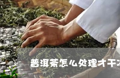 普洱茶怎么处理才干净/2023100647470