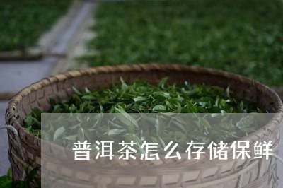 普洱茶怎么存储保鲜/2023121664845