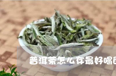 普洱茶怎么存最好喝的茶叶/2023110628369