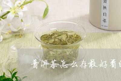 普洱茶怎么存最好看的茶叶/2023110658573