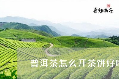 普洱茶怎么开茶饼好喝/2023083016252