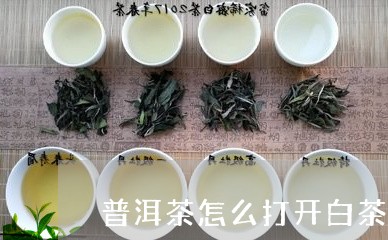 普洱茶怎么打开白茶饼如何打开/2023053090725