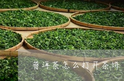 普洱茶怎么打开茶饼/2023091484736