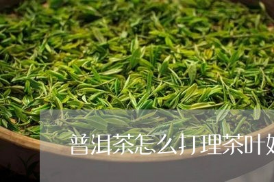 普洱茶怎么打理茶叶好看/2023102406050