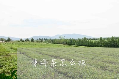 普洱茶怎么抠/2023042910627