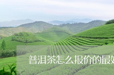 普洱茶怎么报价的最好/2023121645181