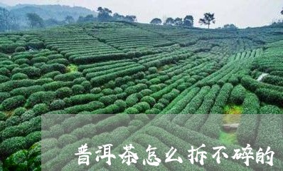 普洱茶怎么拆不碎的/2023083033704