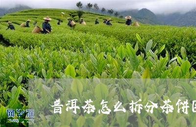 普洱茶怎么拆分茶饼图解法/2023110668529