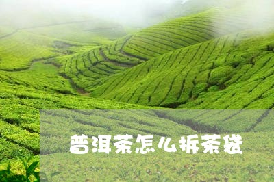 普洱茶怎么拆茶袋/2023083043969