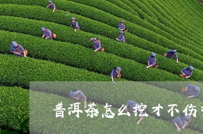 普洱茶怎么挖才不伤手/2023062299381