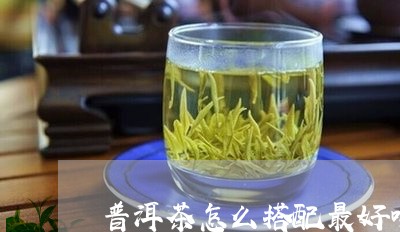 普洱茶怎么搭配最好喝/2023100626402